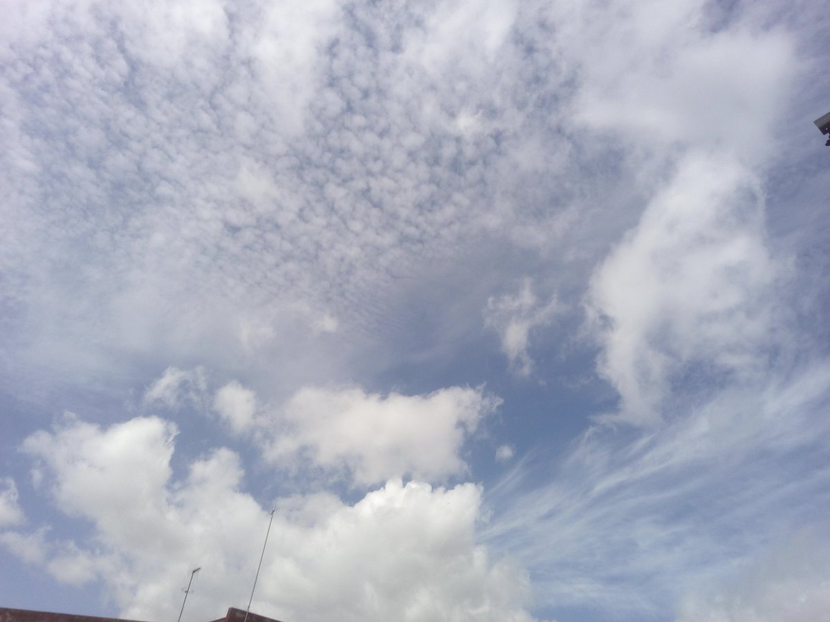 devitocarmine's tweet photo. Cielo drogato anche oggi.
Insetticida per umani a colazione.
Ancora non capite perché state male?
#Chemtrails #Chemicalweapons #skybastard #SATANprogram #geoengineering #HAARPprogram https://t.co/N9fyGEPu1f