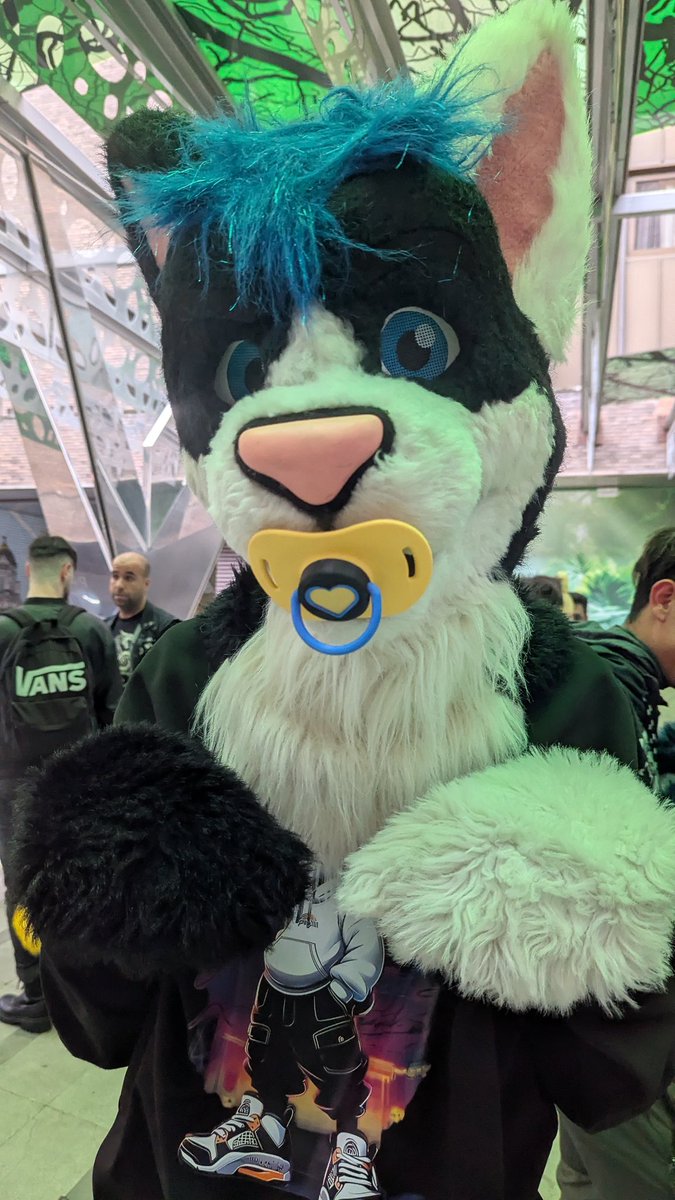Maho_neko's tweet photo. Muted cat 🔇 at Ibercon 
Pacifier belongs to @Counetail ❤️ 
#fursuit #babyfur https://t.co/EhkMrwC3gm