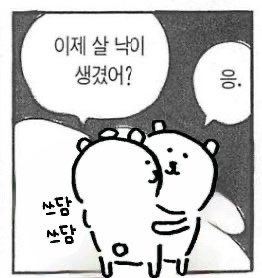 빵피바라☘️ tweet media