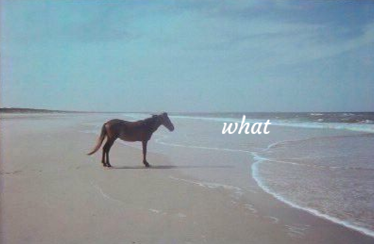 𝓶𝙤𝙤𝙣𝙠𝙞𝙨𝙨𝙚𝙙 tweet media