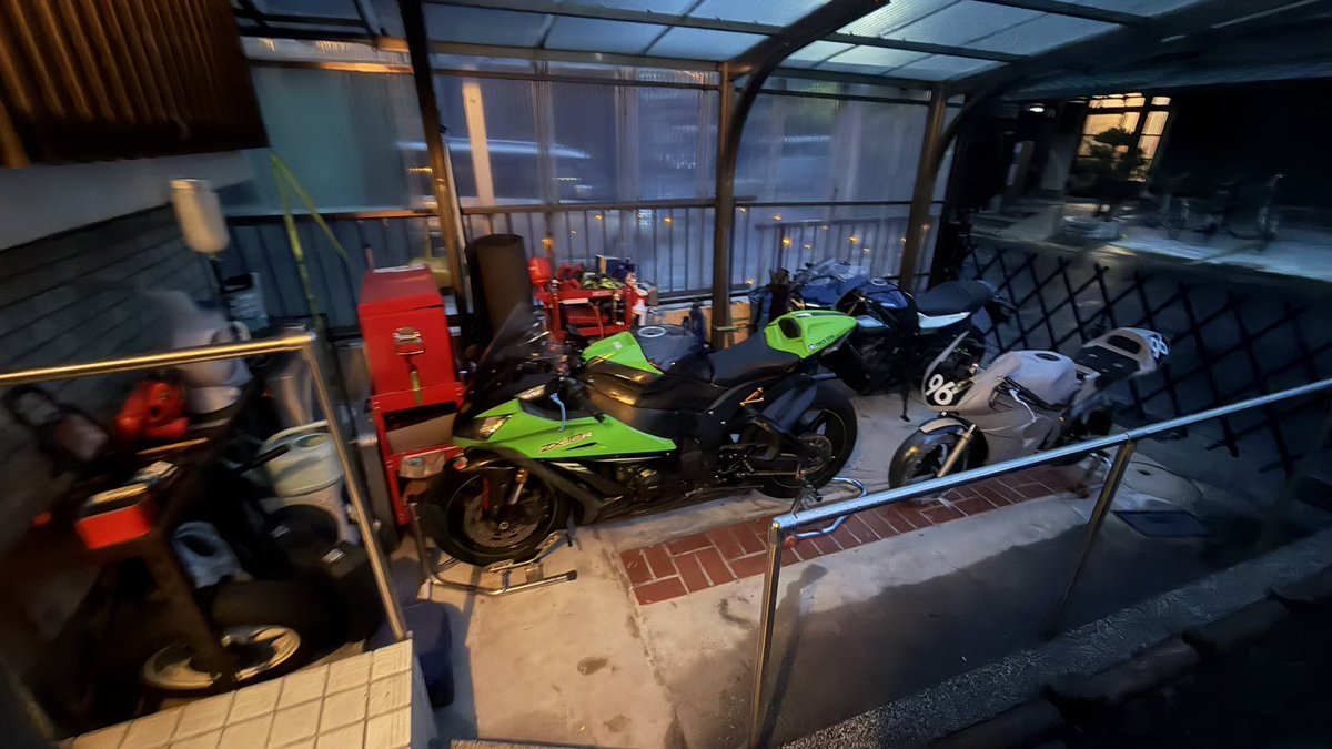 黒猫 tweet media