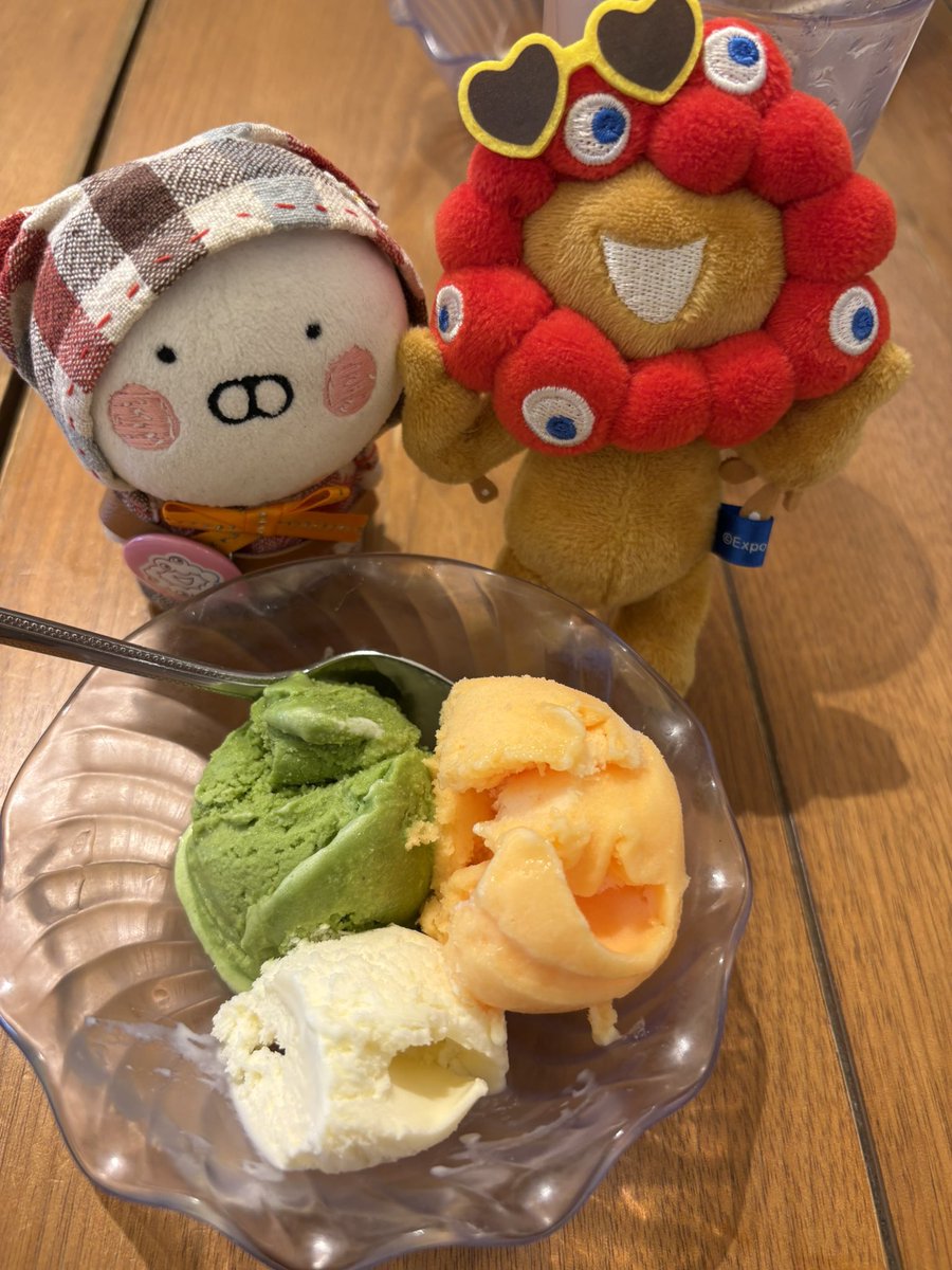 おとうふ。 tweet media
