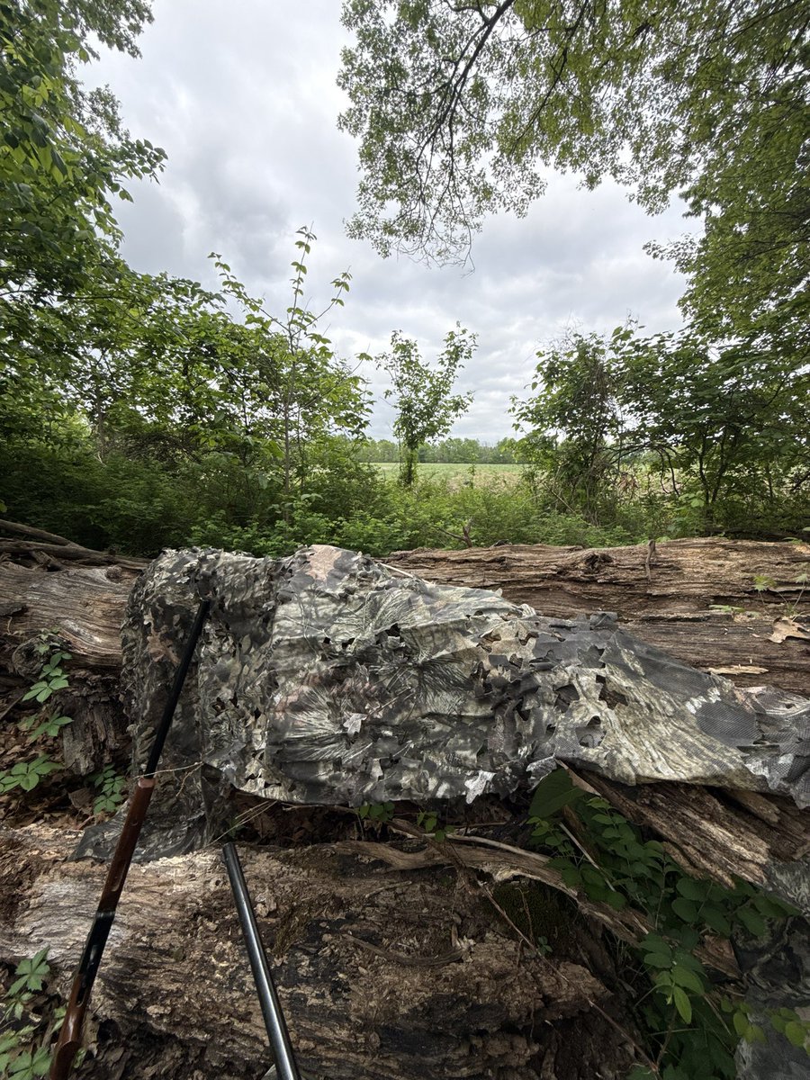 OfficialDect's tweet photo. hunting is an addiction that i literally can’t explain to people, my only answer is the woods, the animals and the thrill give me peace https://t.co/lE67V8od8Q