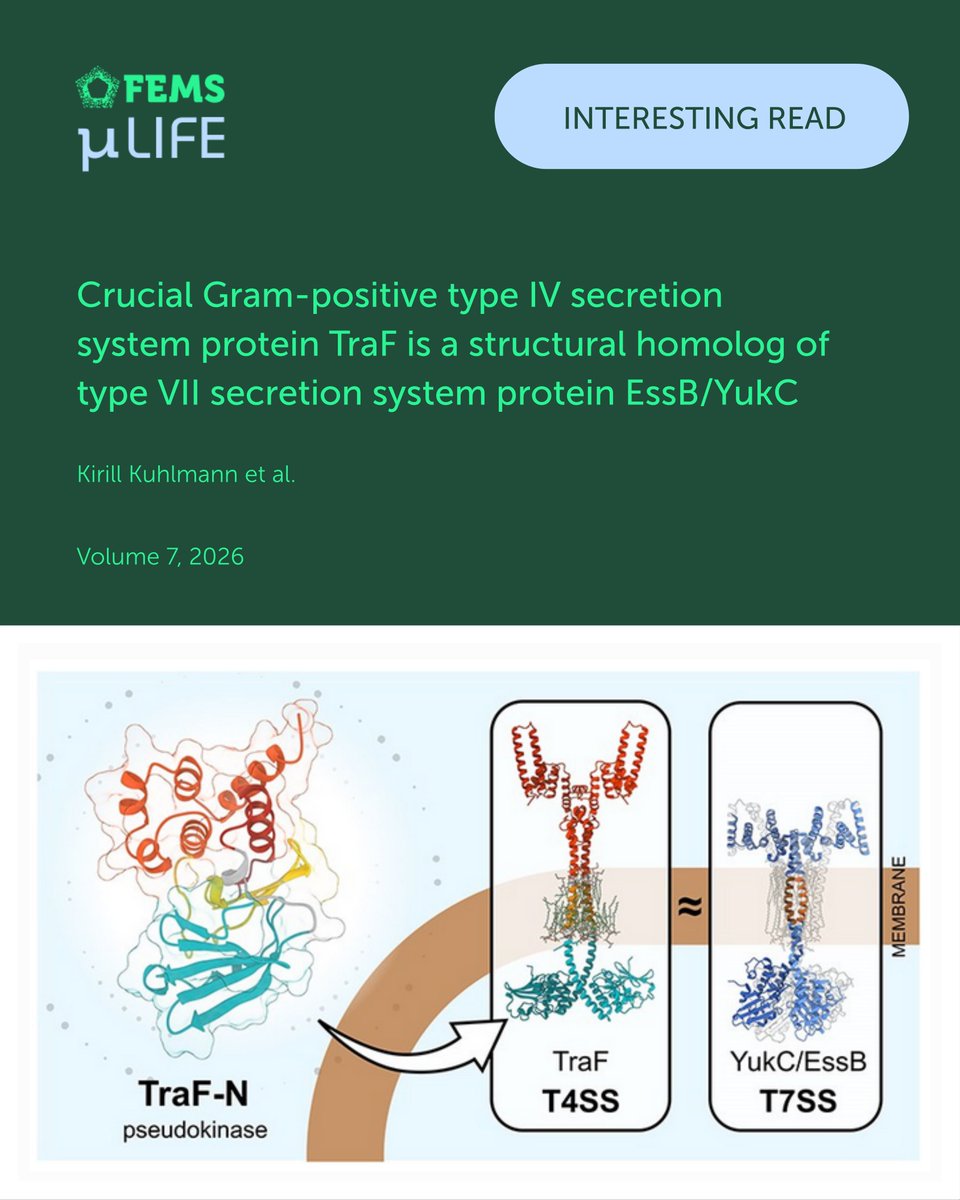microLife tweet media
