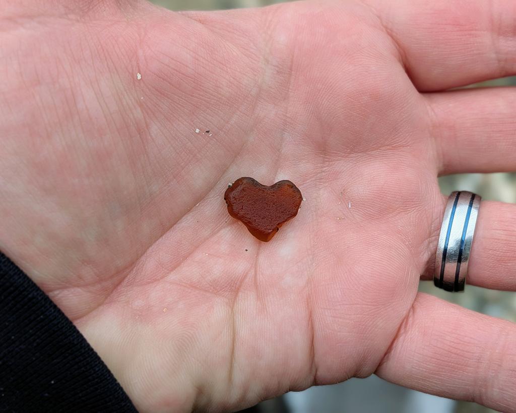 𝔸𝕟𝕕𝕣𝕖𝕨 ℍ𝕒𝕨𝕜𝕚𝕟𝕤 ❤️🌍 tweet media