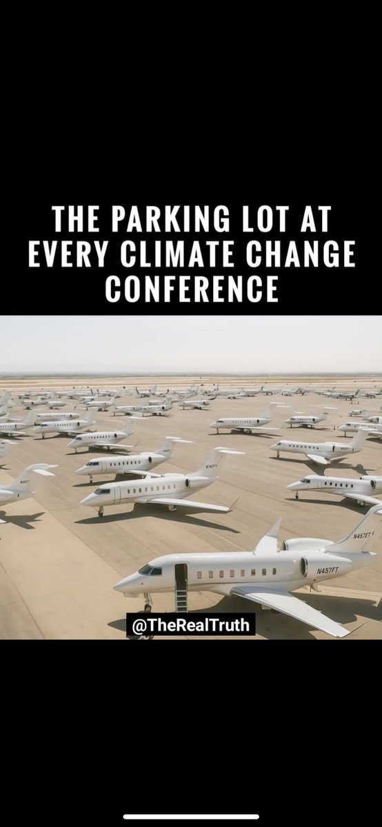 Green New Scam tweet media