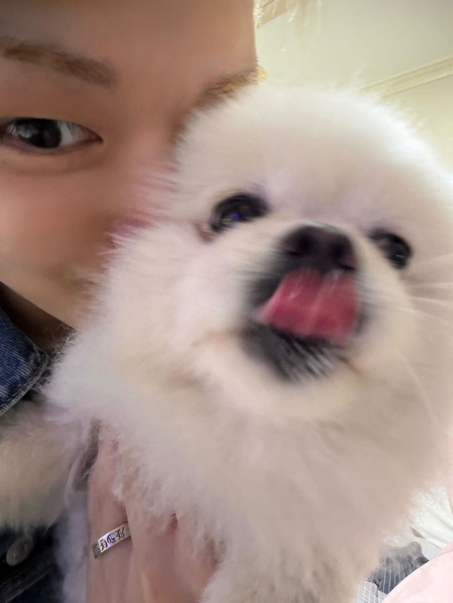 아 잠만 스케줄 쨩이? 
내 게이 개더블더블 데이트옴? 
(안옴)