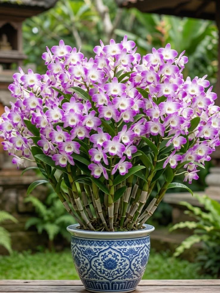Natural beauty tweet media