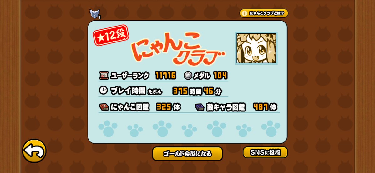ルミエ tweet media