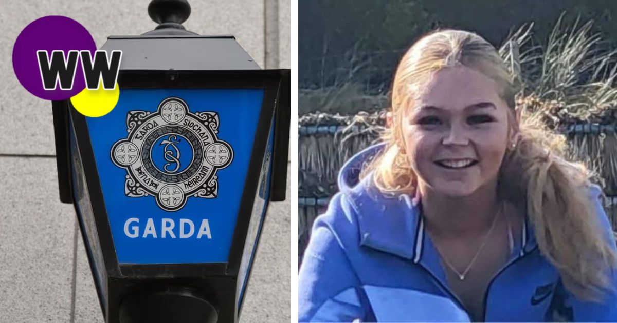Wexford_Weekly's tweet photo. Gardai appeal for help in finding missing Wexford teenager https://t.co/DTIPAMpkDq https://t.co/cZHed3pQ6g