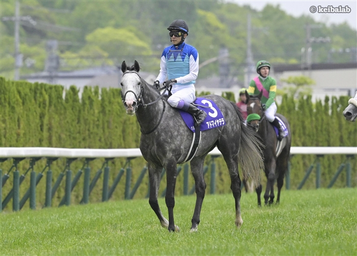 競馬ラボ tweet media