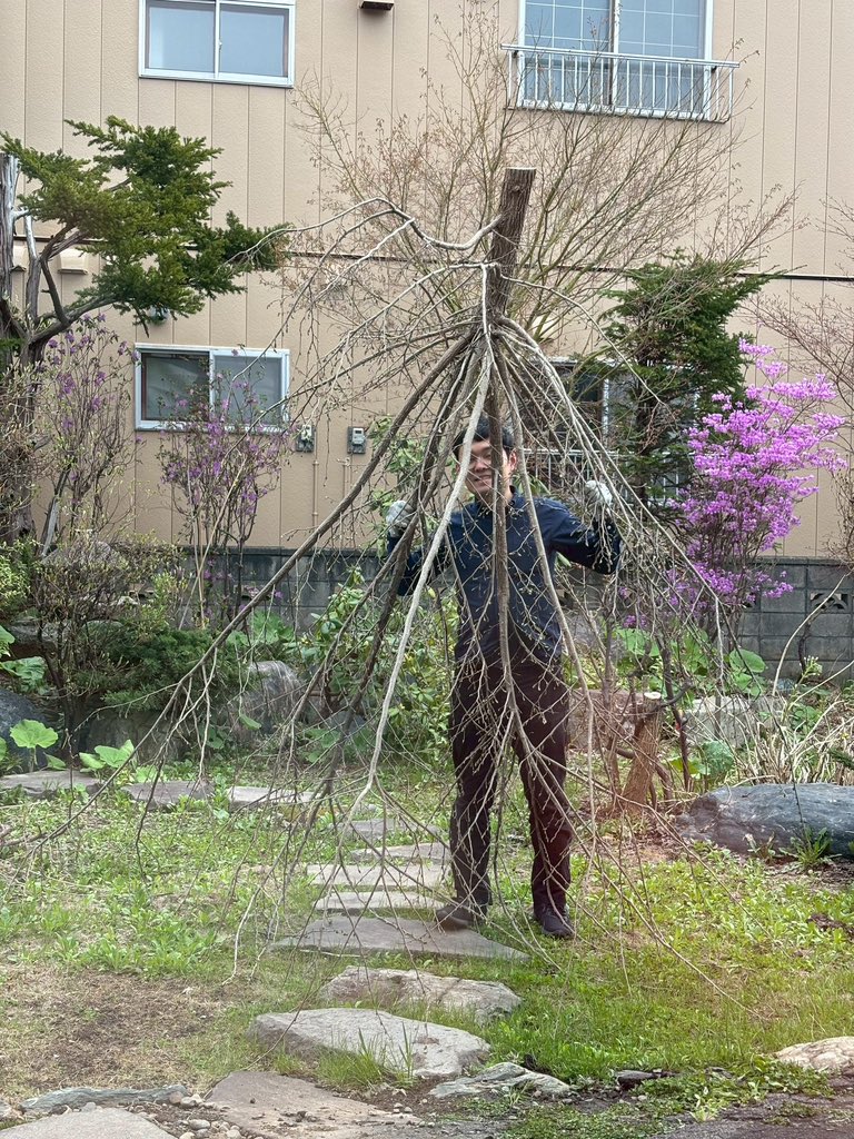 のむらパターソン tweet media