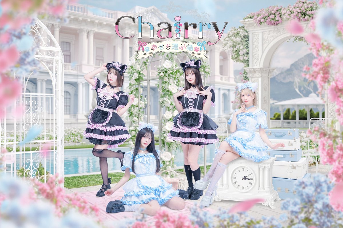 Chairry (シェリー)-幸せを運ぶ猫- tweet media