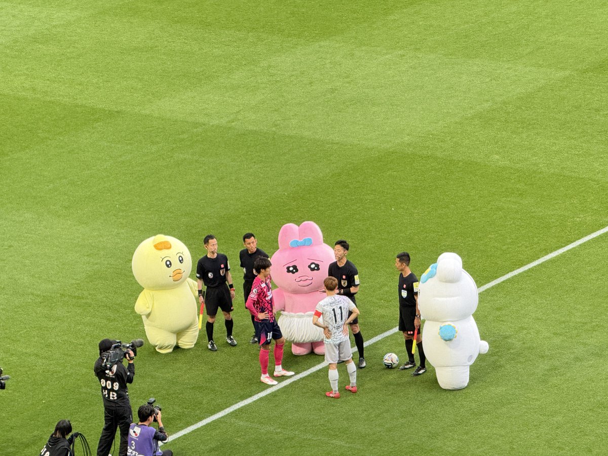 ドラタ tweet media