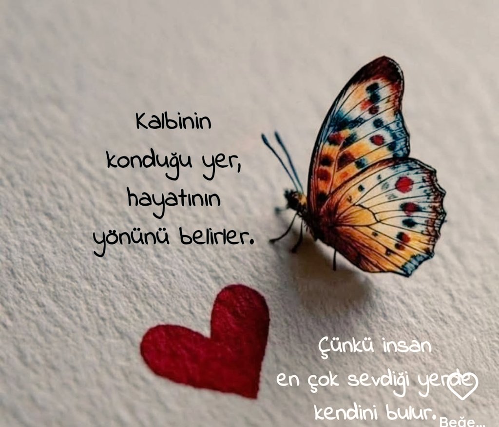Şiir Bahçesi tweet media