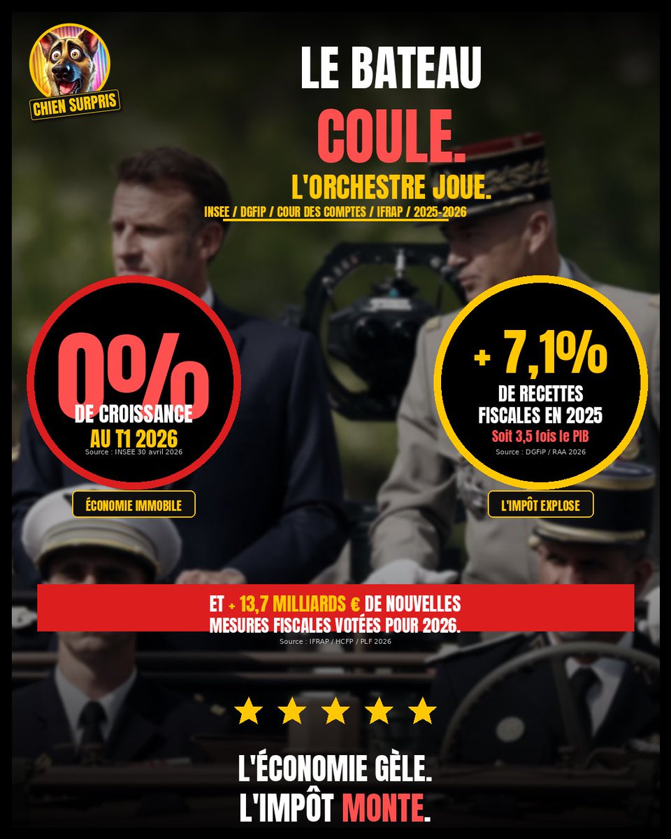 ChienSurpris tweet media