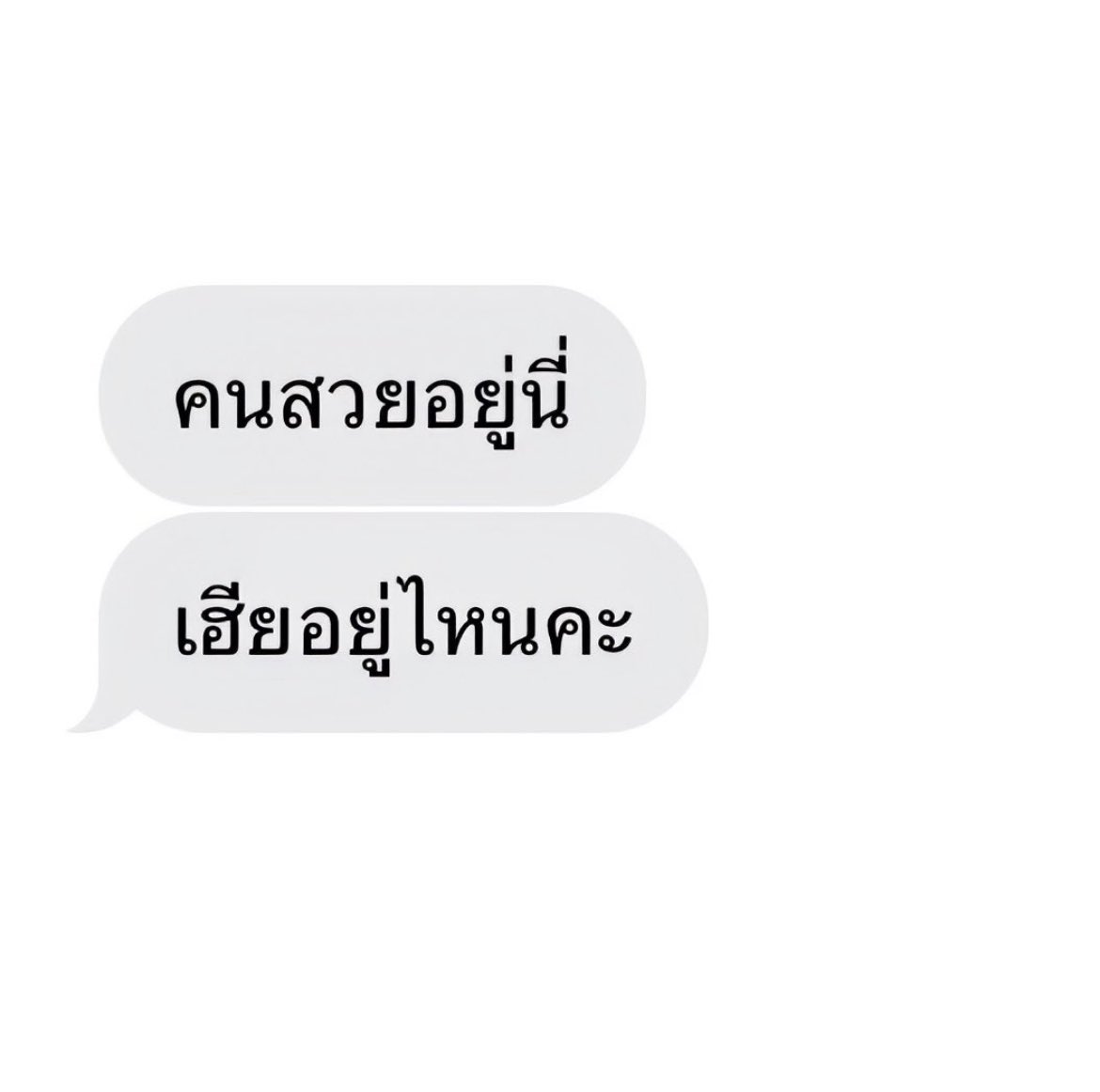 ᴄʜᴀ ᴛʜᴀɪ tweet media