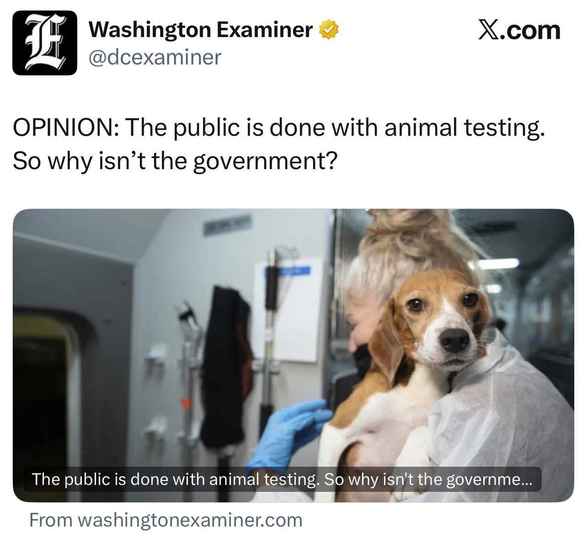 PROTECT ALL WILDLIFE tweet media