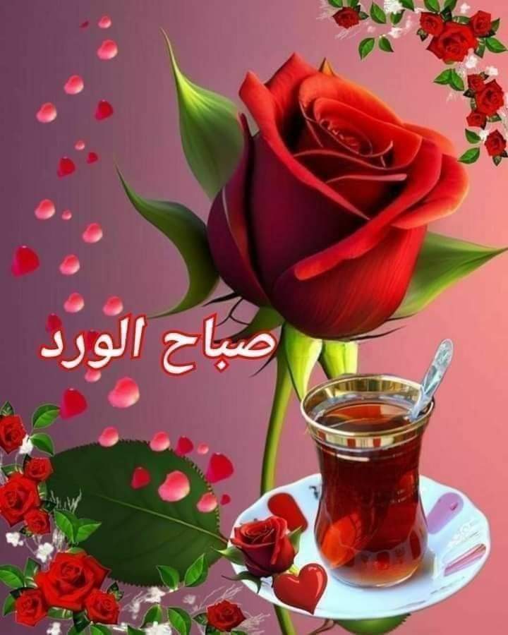 Samir Refay tweet media