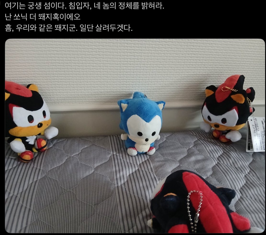 상비 tweet media