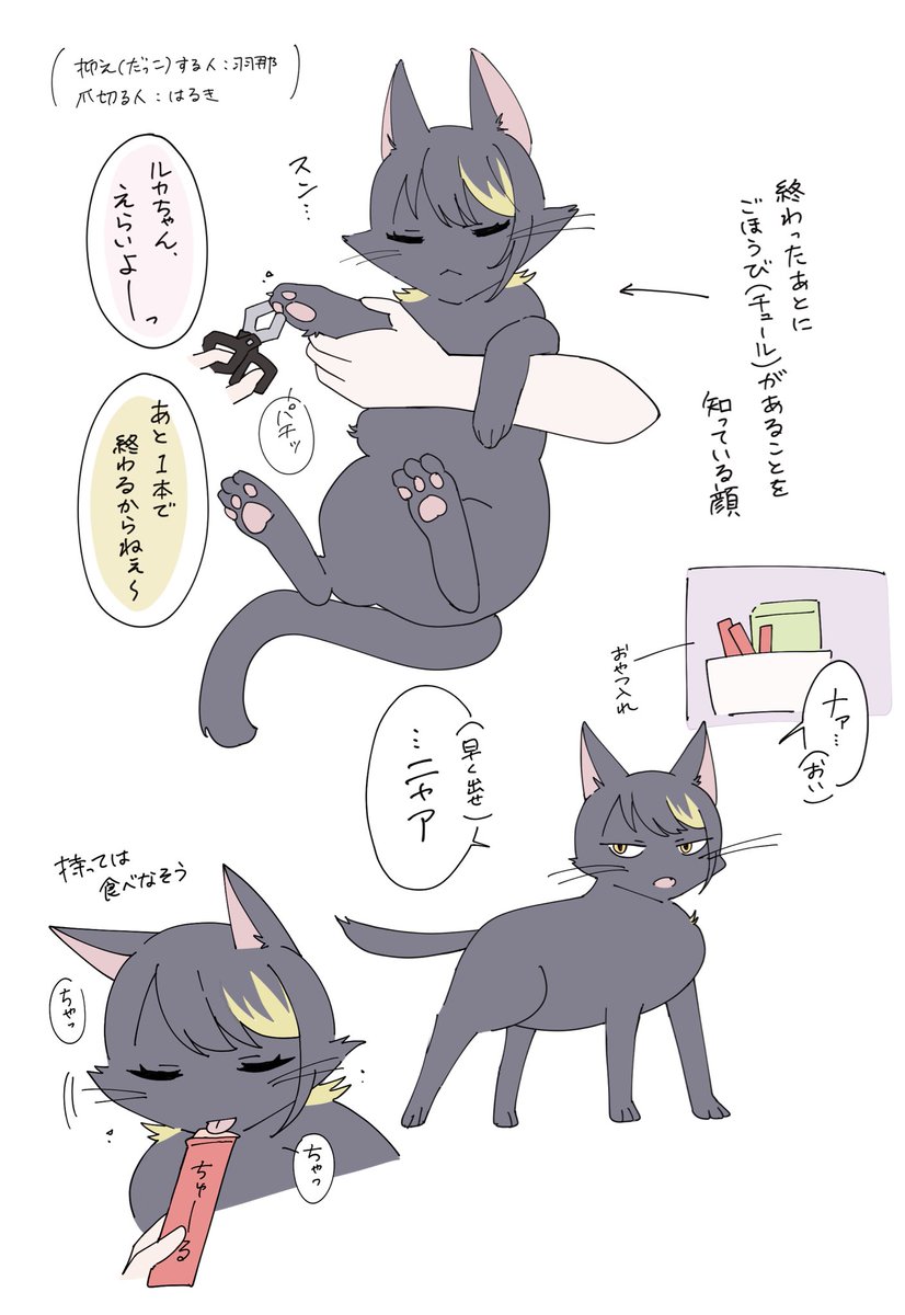 にく tweet media