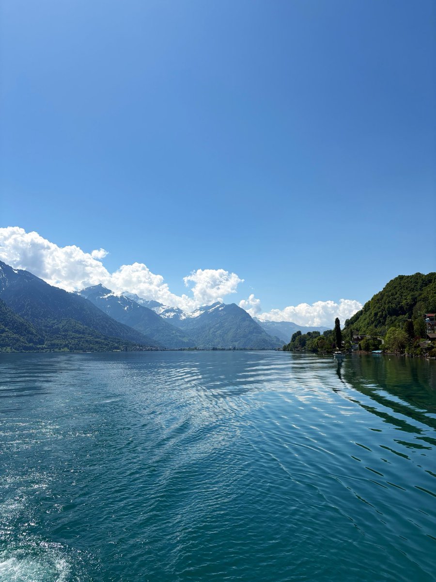 はな🌸@スイス旅行中🇨🇭 tweet media