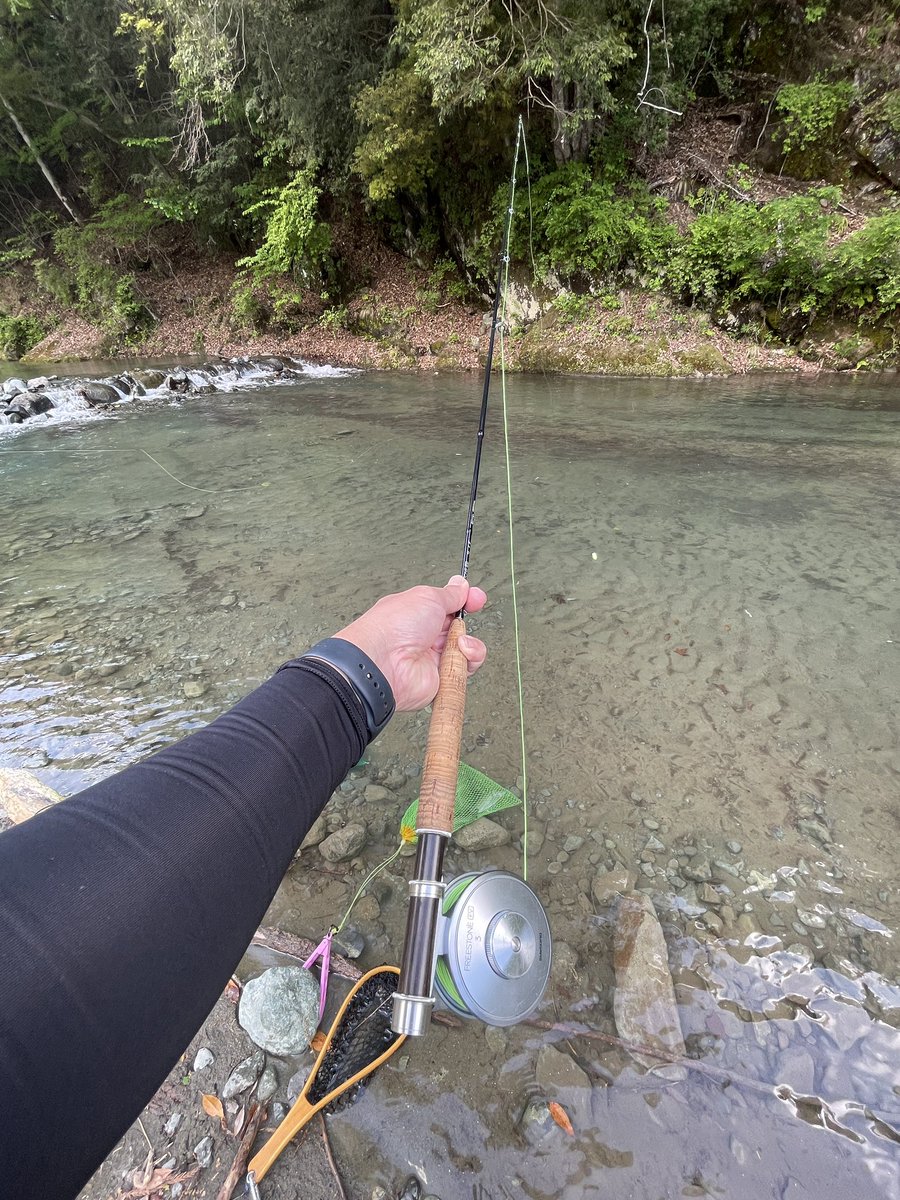 toi10452012's tweet photo. GWに激戦区へ🎣（笑）昼から入ったけど、人も多いが魚も多い(o^^o)そんな印象でした。
短時間でささっとやってきました〜🎣

#フライフィッシング 
#リヴァースポット早戸
#ゴールデンウィーク https://t.co/mkWrtYBXZs