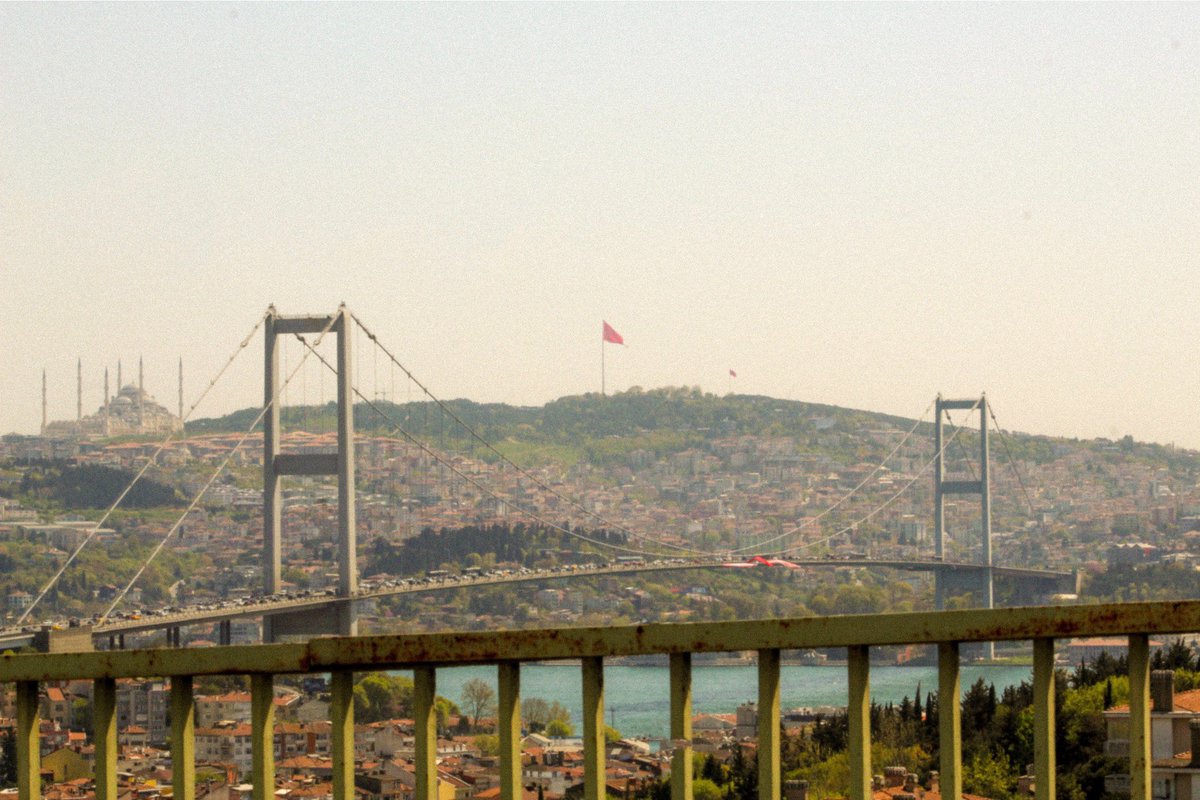 şeyma 🦢 tweet media
