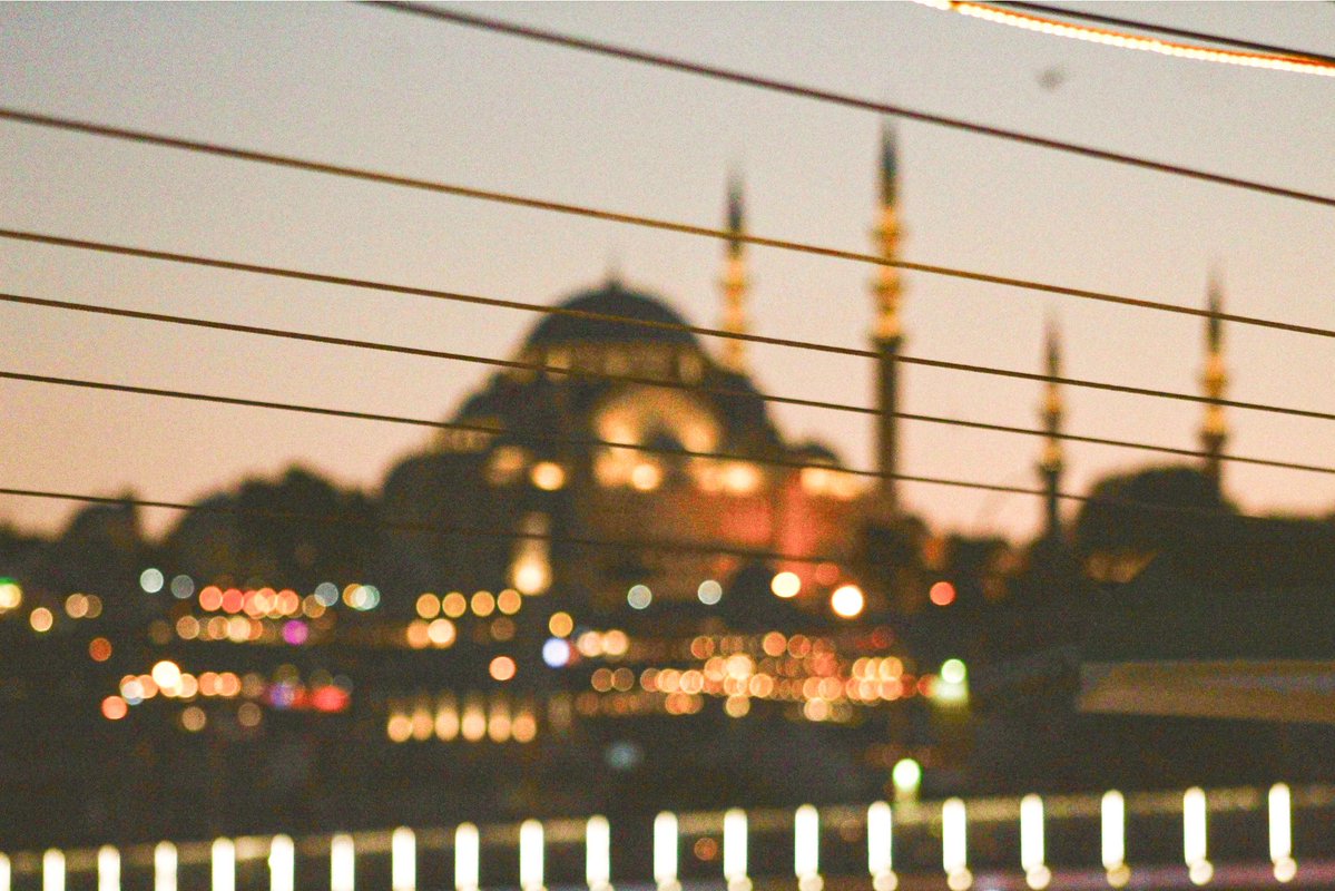 şeyma 🦢 tweet media