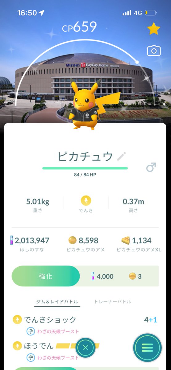 あいぱっち tweet media