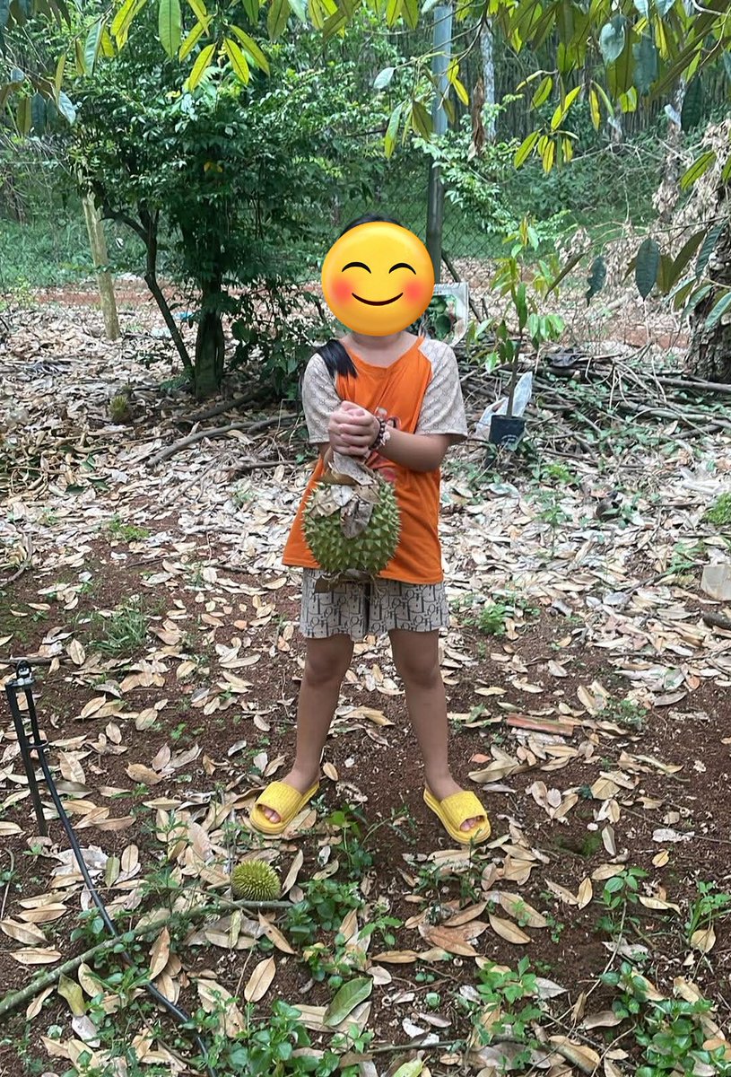 🇻🇳ベトナム人と結婚する?🇧🇷 tweet media