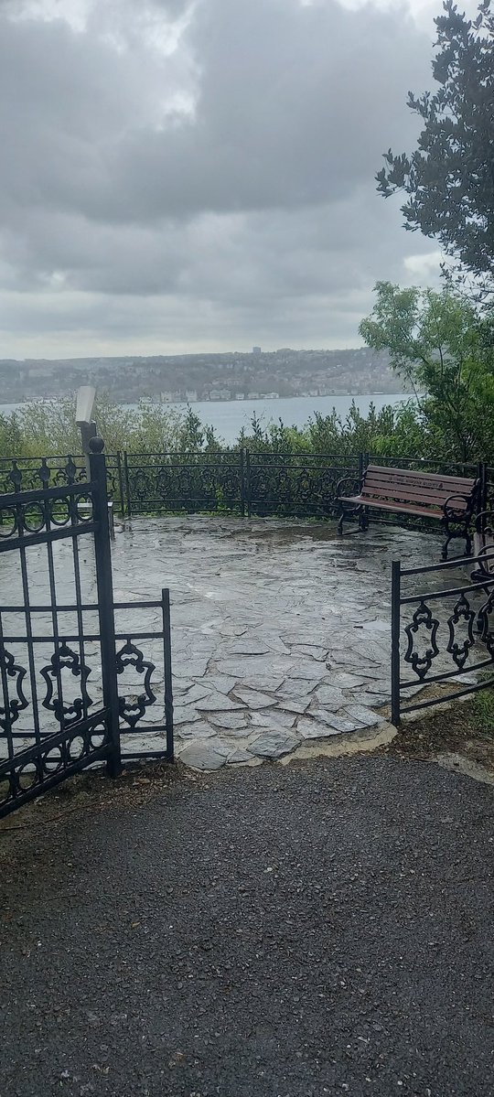Adnan Alioğlu 🇹🇷 tweet media