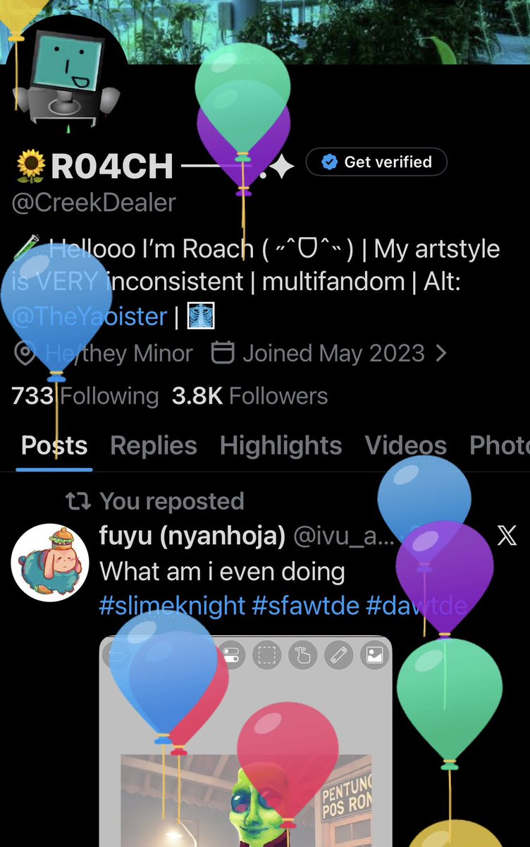 🌻R04CH ── .✦ tweet media