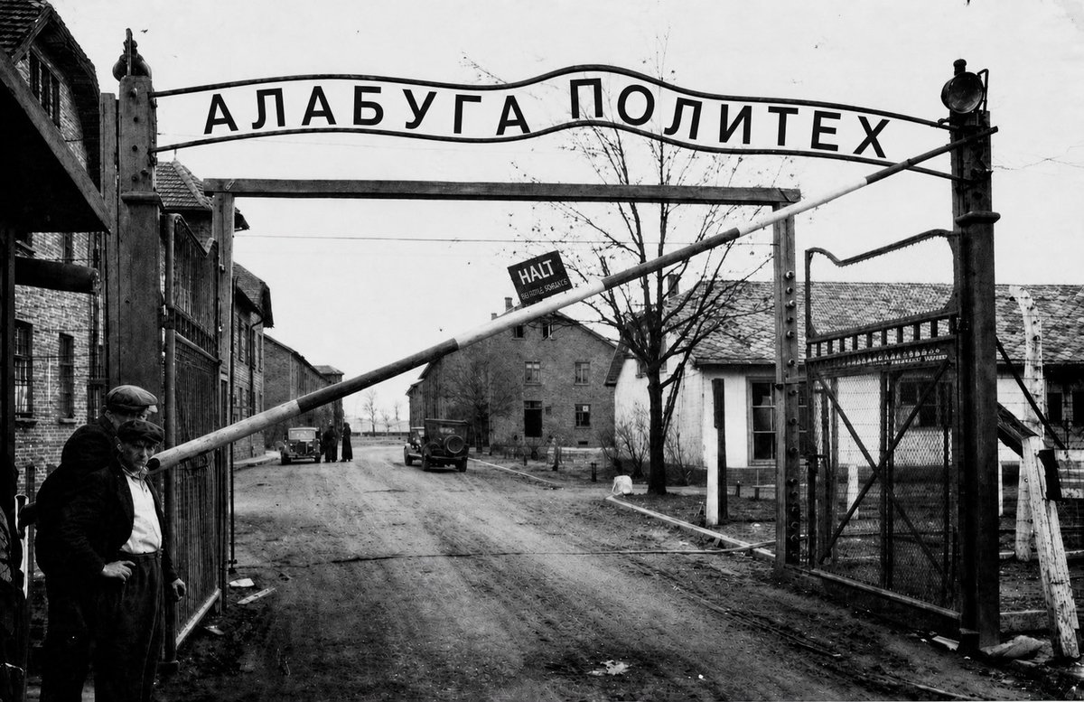 Шиза&База tweet media