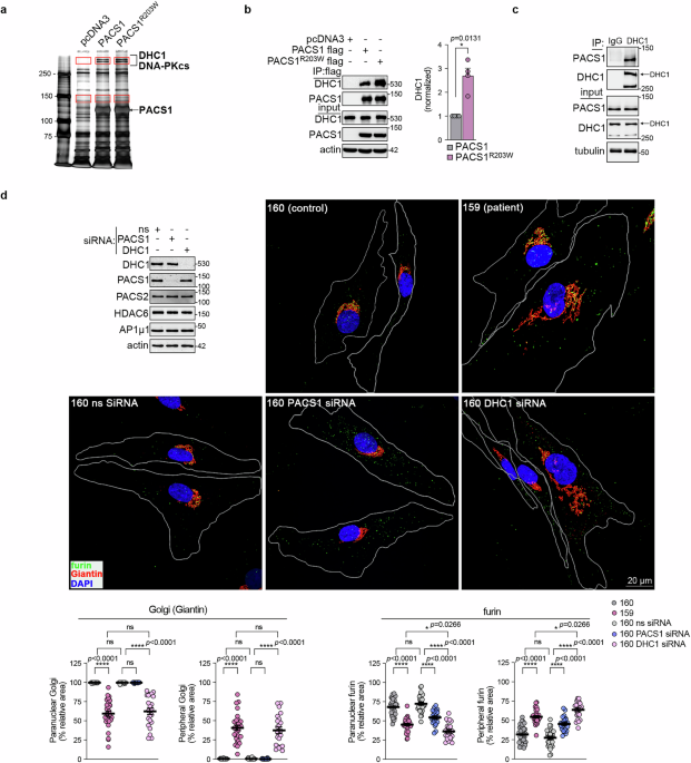 Communications Biology tweet media