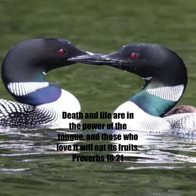 JBilowith's tweet image. The lingering #power of my #words can #hurt or #heal. May what I share today promote #healing!