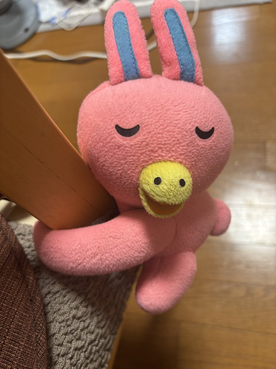 我が実家にはずっとNOVAうさぎがいます 22年くらい前から椅子に