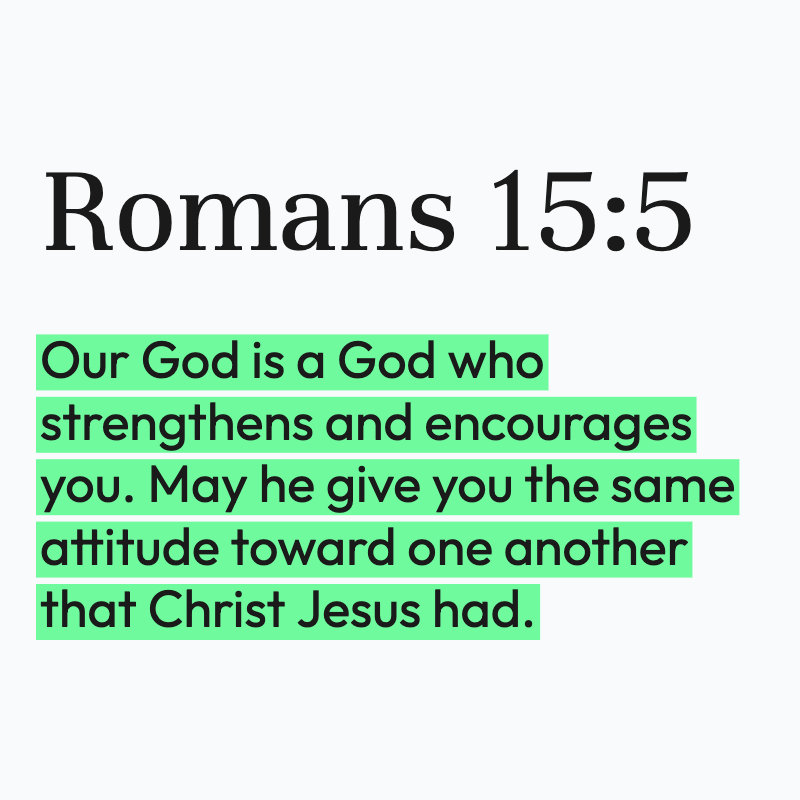 Biblical Advice tweet media
