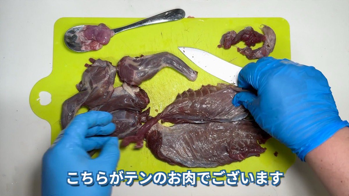 茸本 朗(たけもとあきら)　「野食ハンター茸本朗ch」公開中!! tweet media