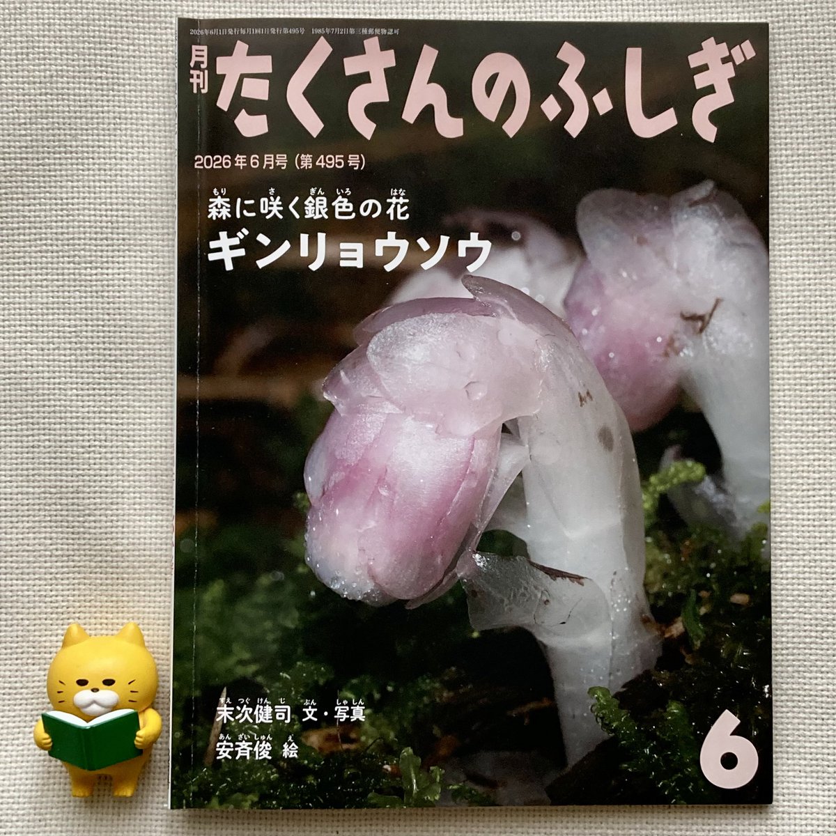 たくさんのふしぎ 42冊　2021年4月〜2024年3月ほか たくさんのふしぎ 2024年8月号 (発売日2024年07月03日) | 雑誌/定期