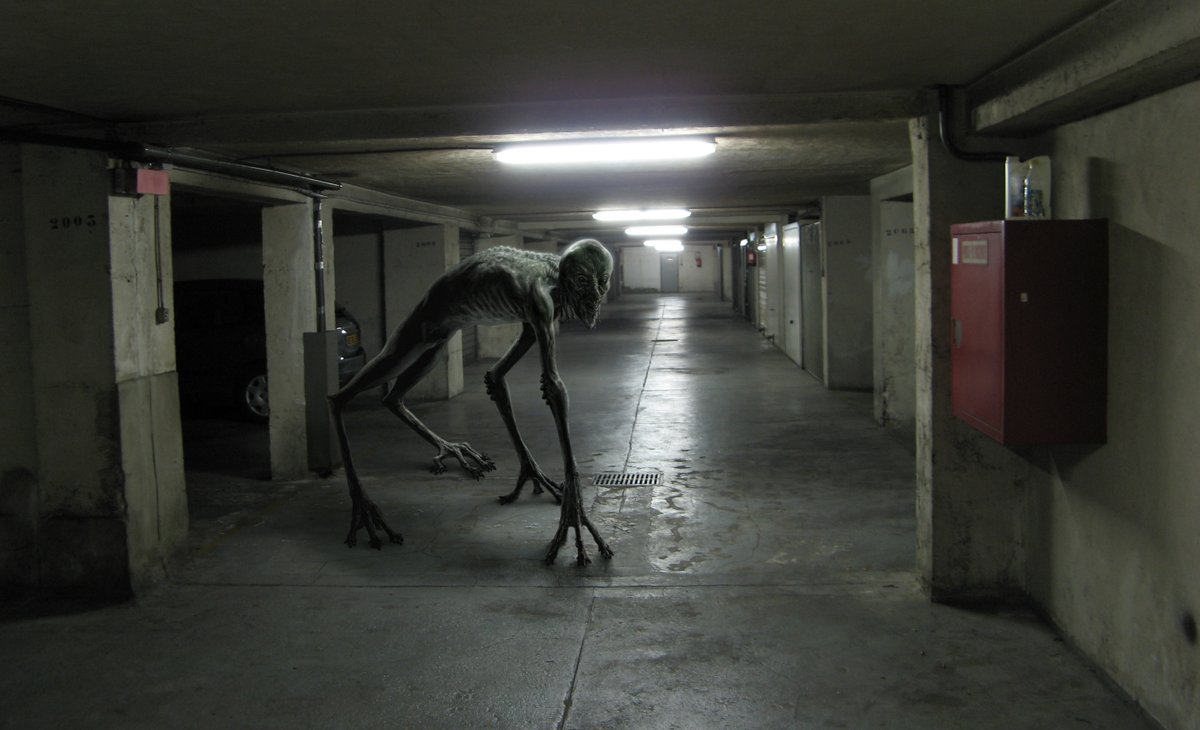 Cosas de terror tweet media