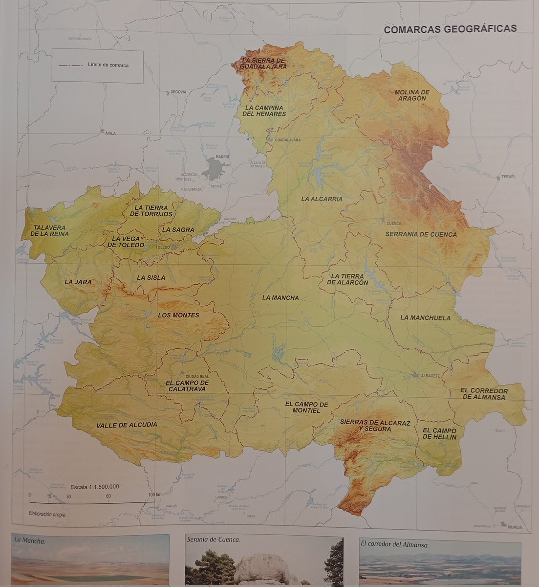 Ivanovich tweet media