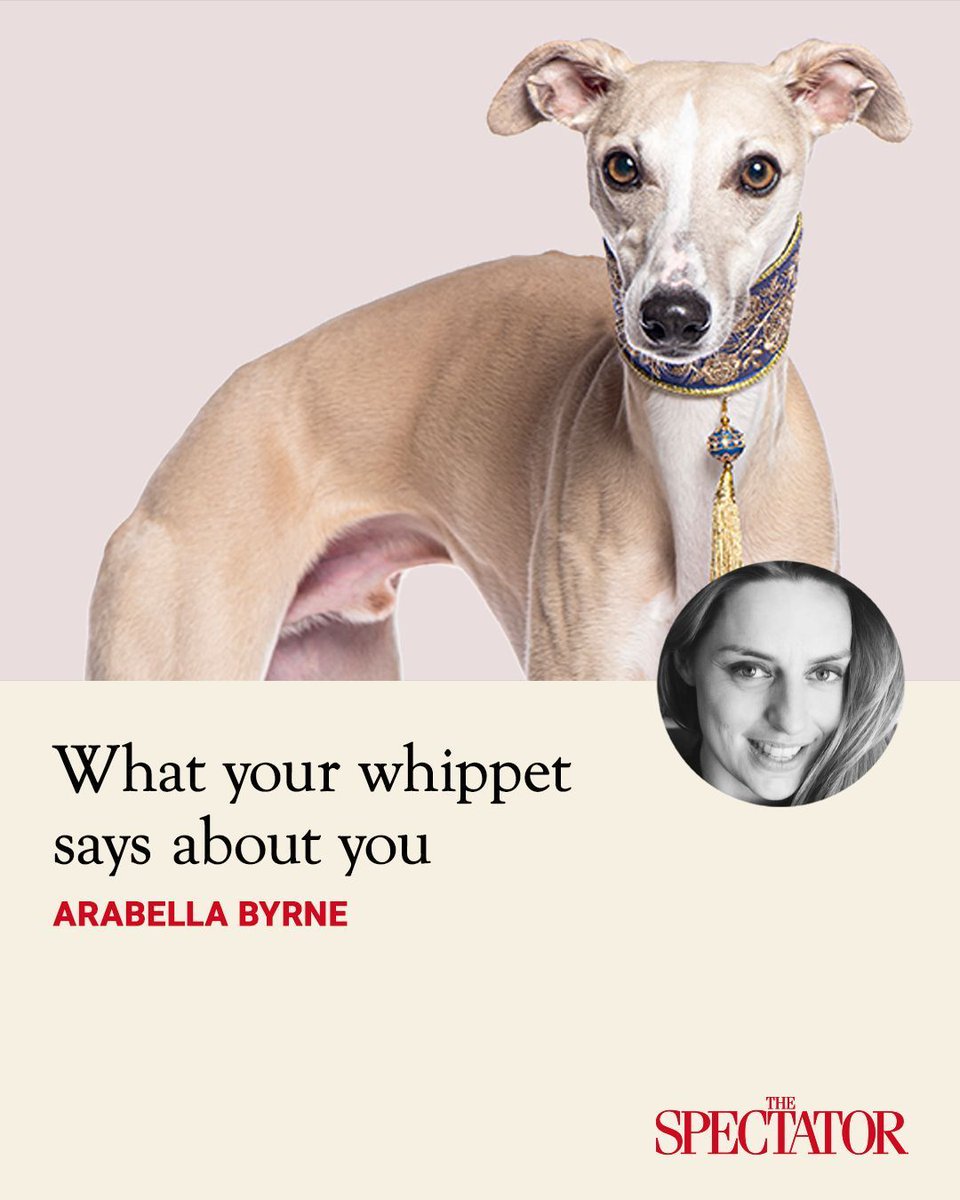 The Spectator tweet media