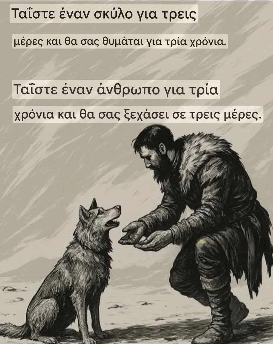 Samara S. tweet media