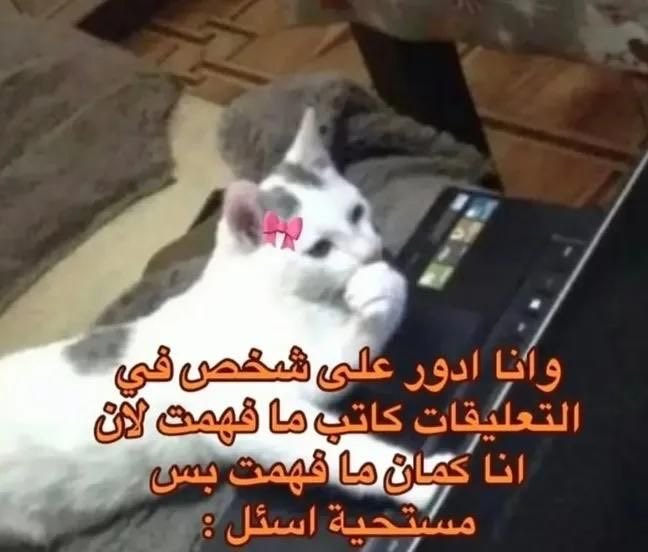 .. tweet media