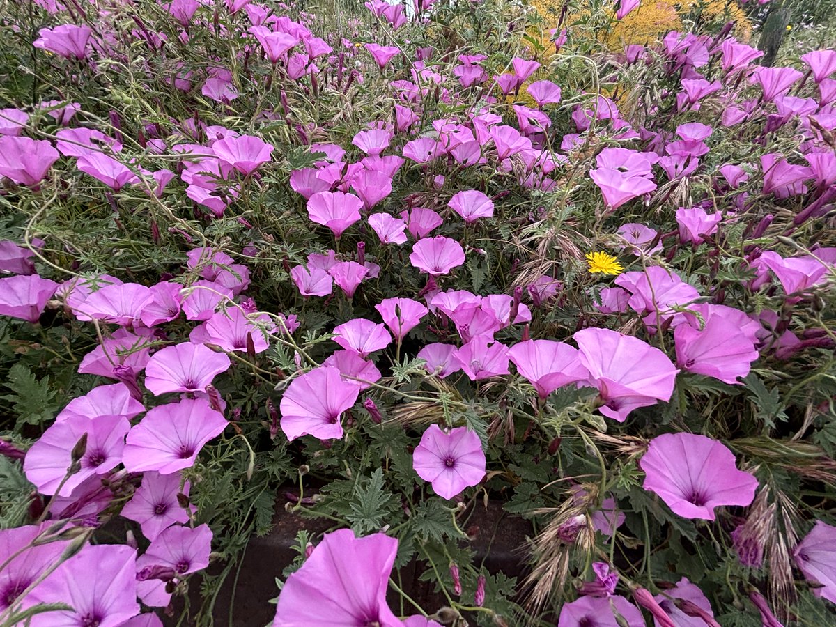 💐