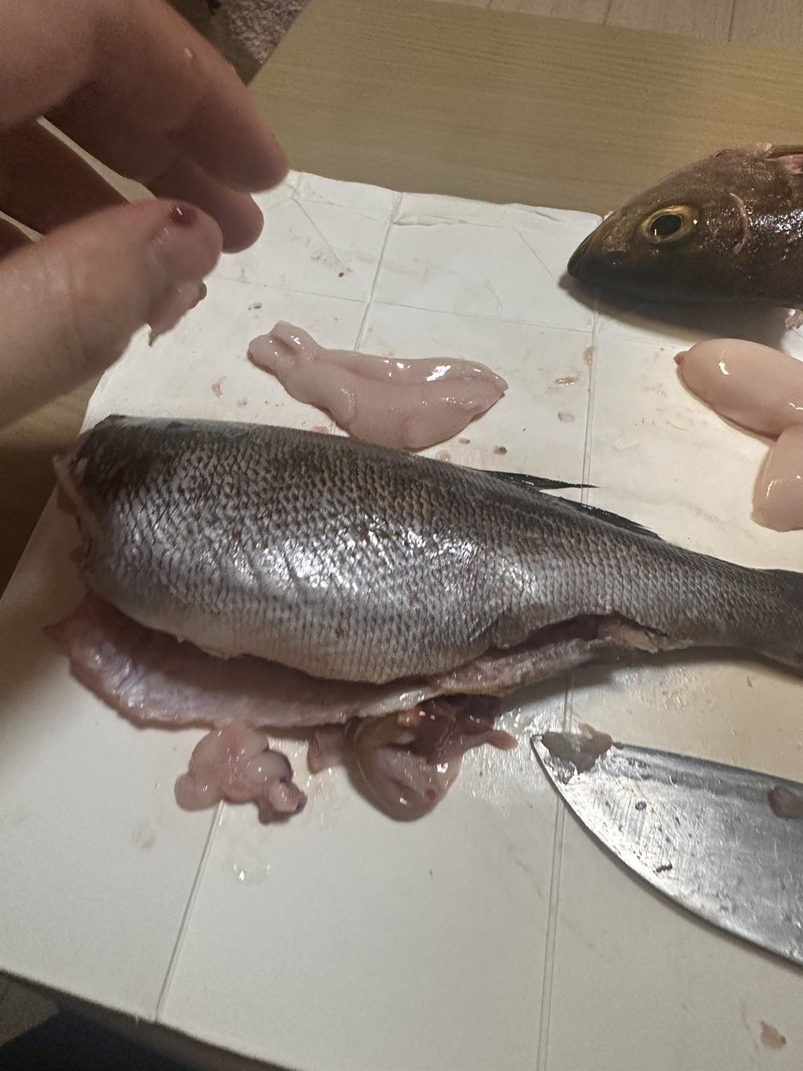 びわ湖のネッシー tweet media