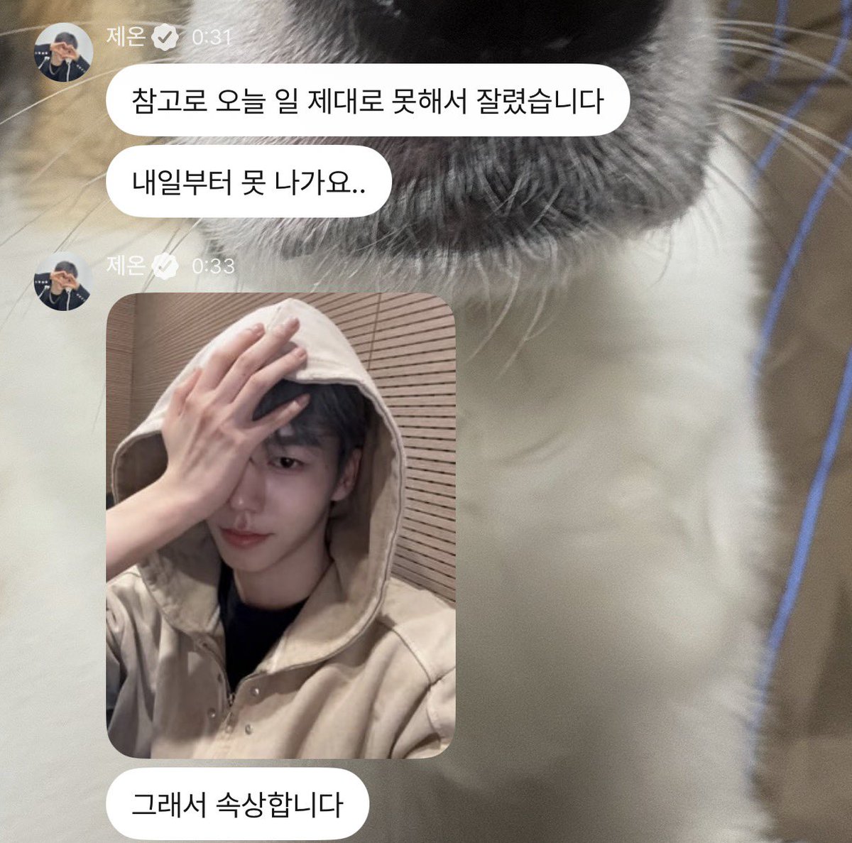 먼지 tweet media