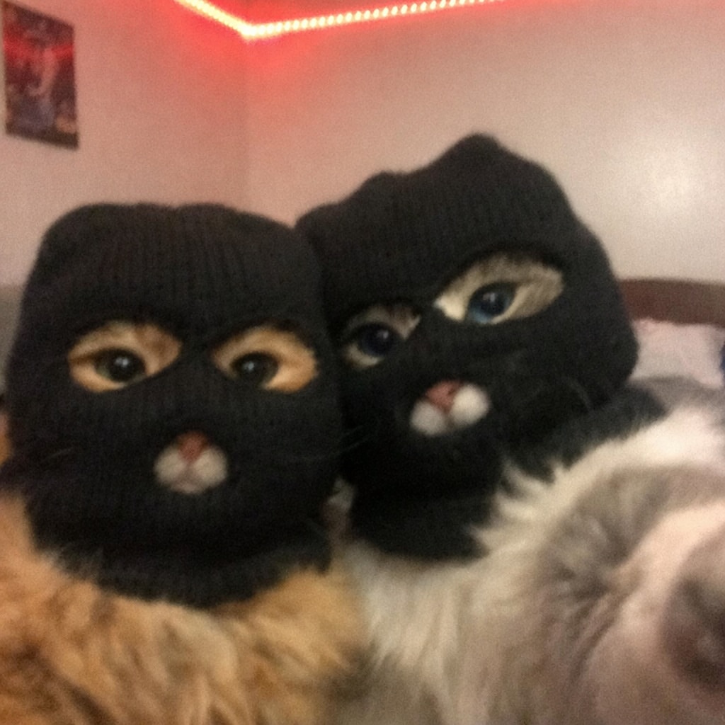 Shinobus tweet media