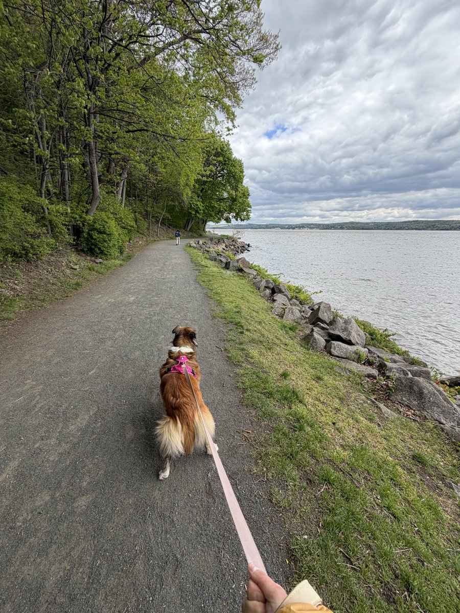 LisaP_920's tweet photo. Fluffy butt walking like she’s is on a mission  🤭 https://t.co/dlrcI1zbXF
